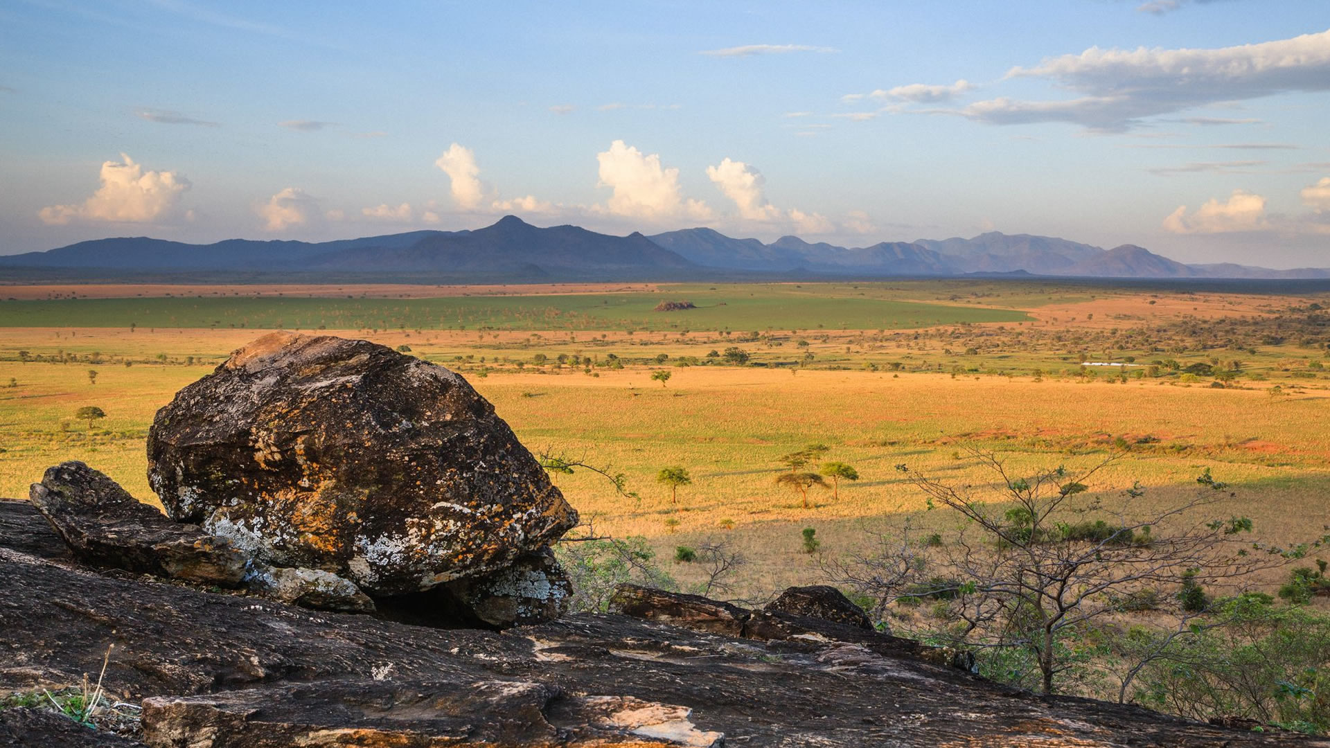 Kidepo Valley National Park