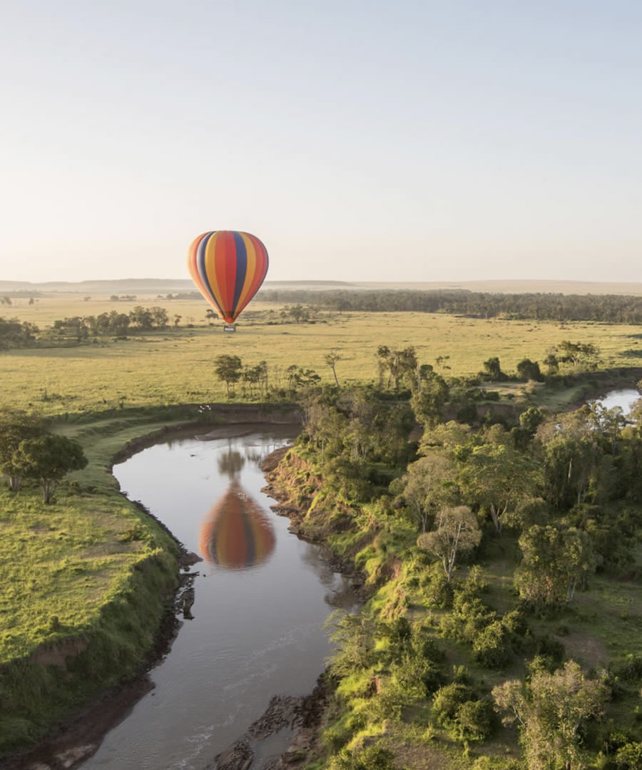 Family Safari Guide: Tips for Traveling with Kids