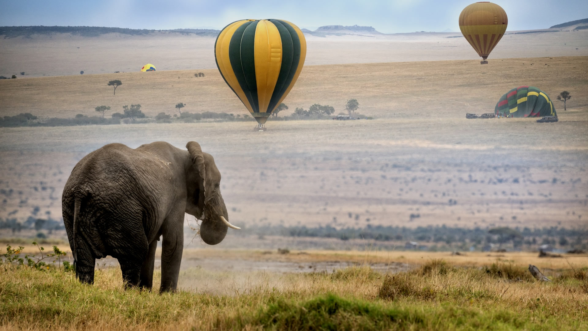 Maasai Mara Sunrise