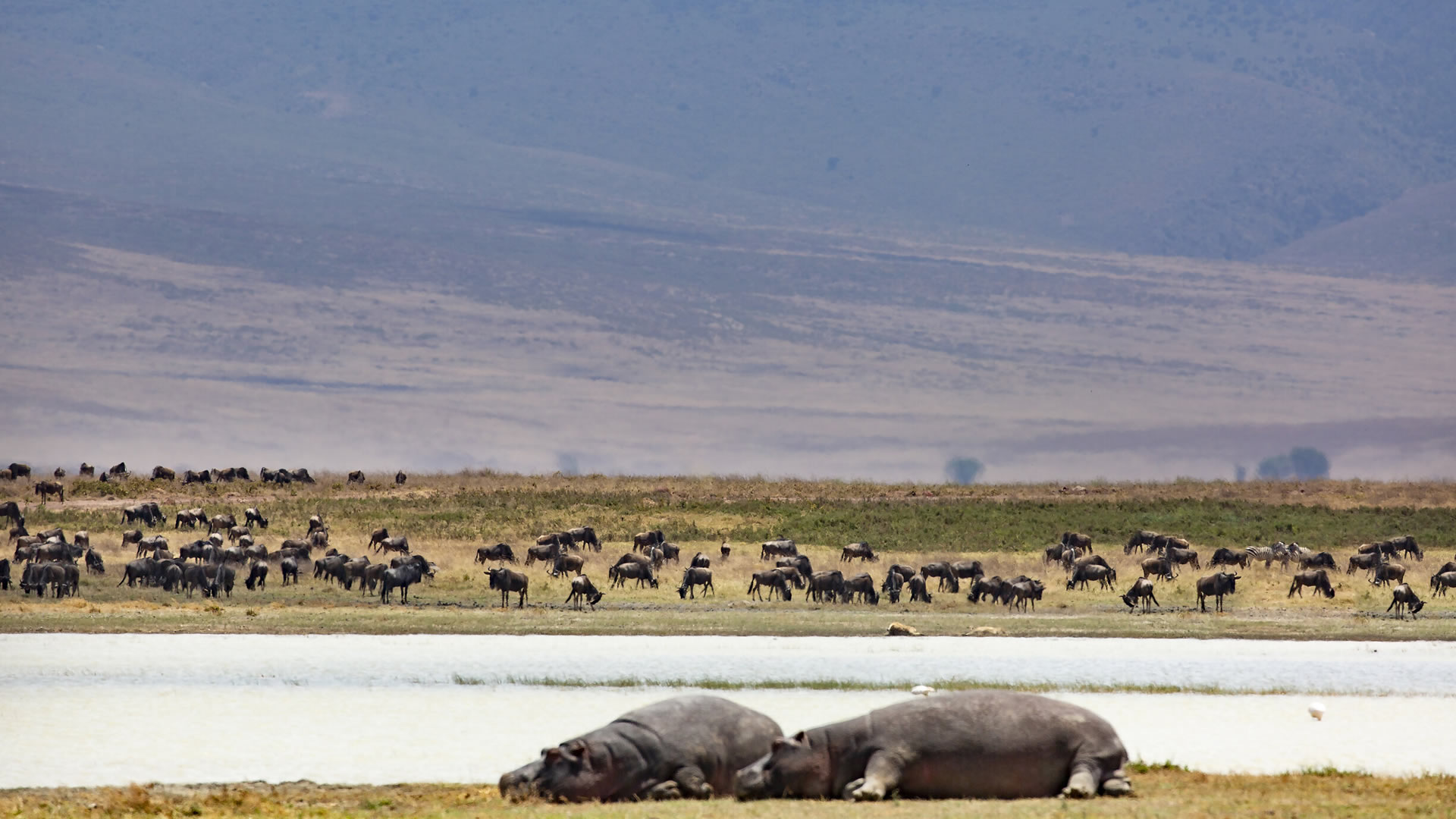 Ngorongoro Crater