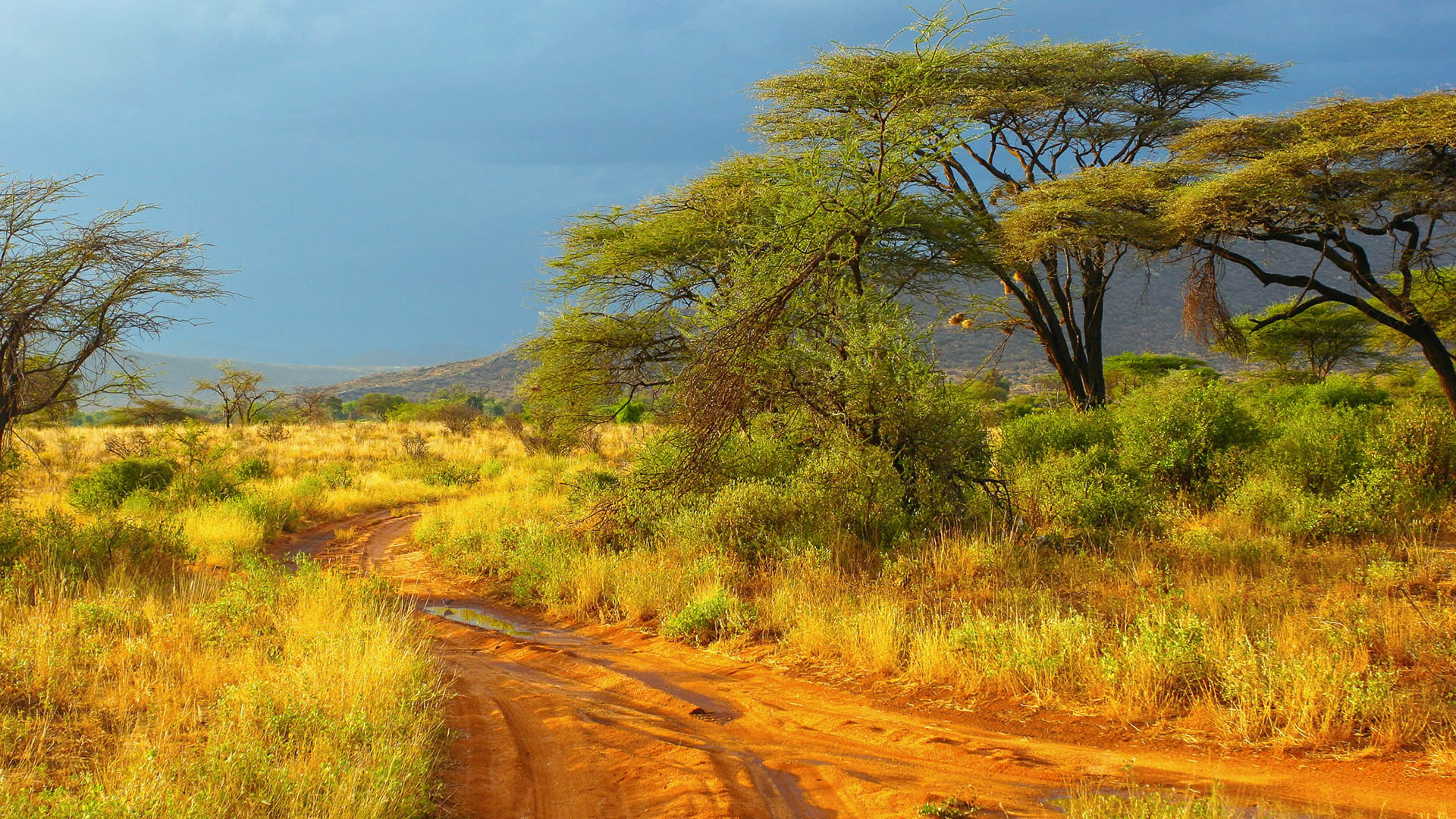 Samburu National Reserve