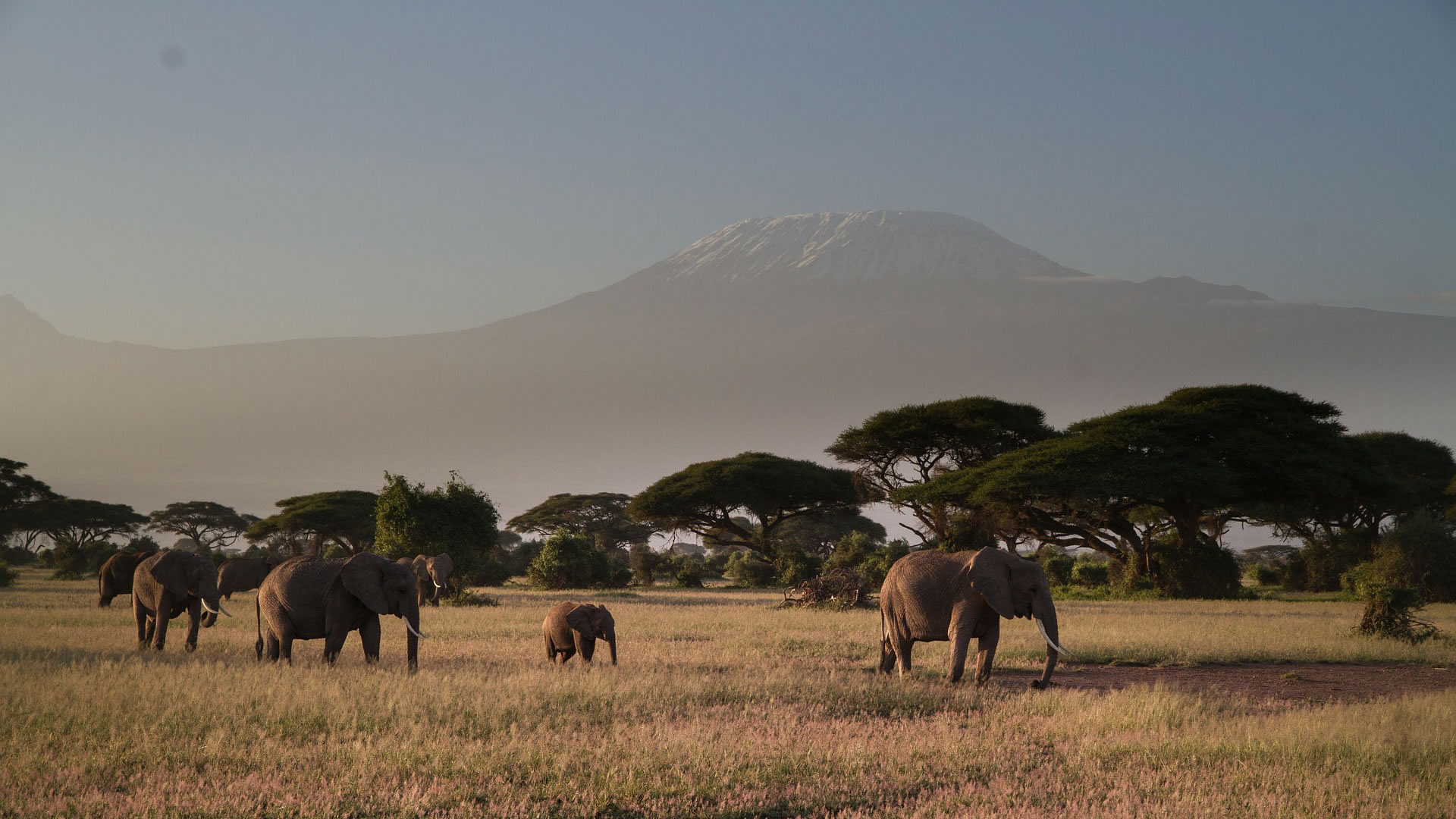 8-Day Wildlife Trails